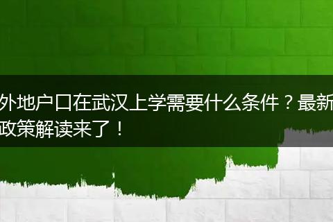 外地户口在武汉上学需要什么条件？最新政策解读来了！