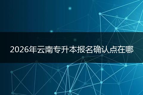 2026年云南专升本报名确认点在哪