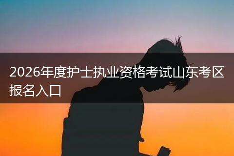 2026年度护士执业资格考试山东考区报名入口