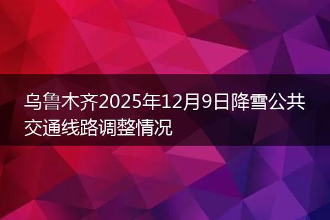 乌鲁木齐2025年12月9日降雪公共交通线路调整情况