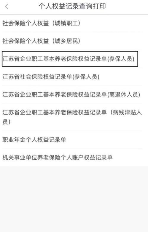【资讯20251217】江苏省企业职工基本养老保险权益记录单(参保人员)打印方式