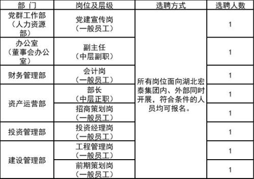 【资讯20251218】2025湖北宏泰资产运营有限公司招聘8人