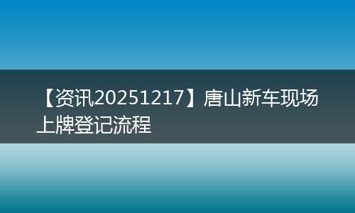 【资讯20251217】唐山新车现场上牌登记流程