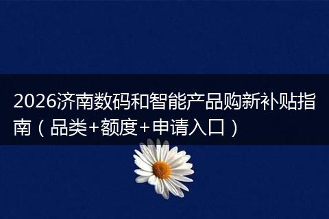 2026济南数码和智能产品购新补贴指南（品类+额度+申请入口）