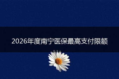 2026年度南宁医保最高支付限额