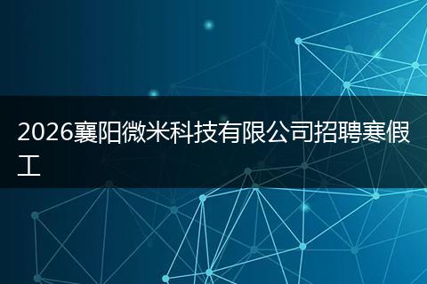 2026襄阳微米科技有限公司招聘寒假工