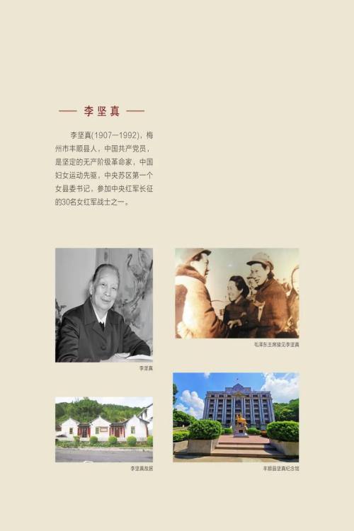 湛江市博物馆2026年元旦期间开放时间