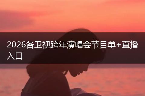 2026各卫视跨年演唱会节目单+直播入口