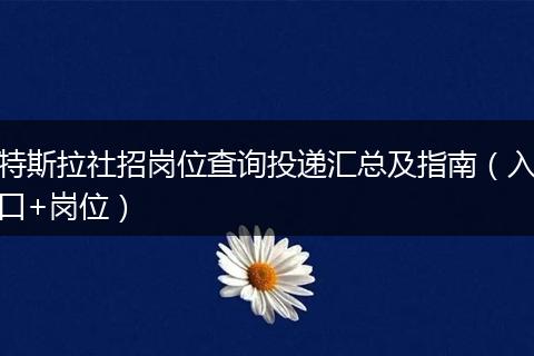 特斯拉社招岗位查询投递汇总及指南（入口+岗位）