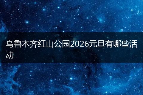 乌鲁木齐红山公园2026元旦有哪些活动