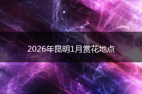 2026年昆明1月赏花地点
