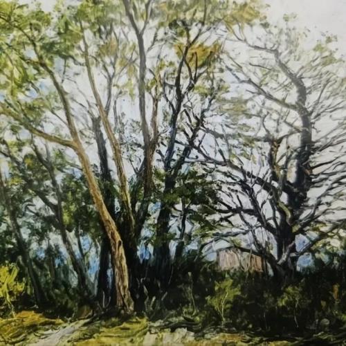 湛江市博物馆2026年元旦期间开放时间