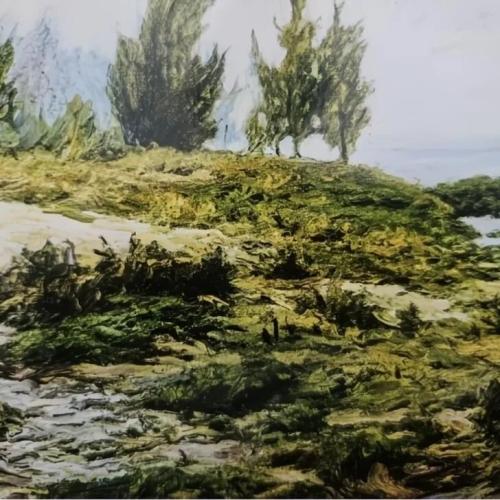 湛江市博物馆2026年元旦期间开放时间