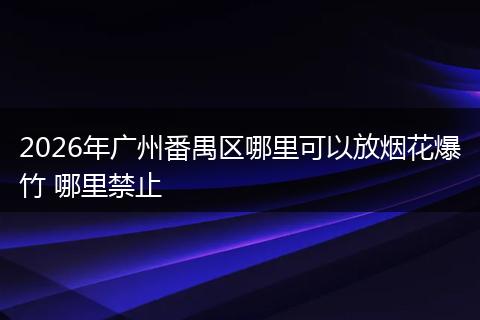 2026年广州番禺区哪里可以放烟花爆竹 哪里禁止