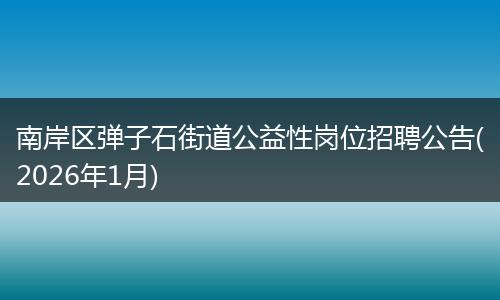 南岸区弹子石街道公益性岗位招聘公告(2026年1月)