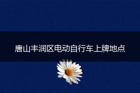 唐山丰润区电动自行车上牌地点