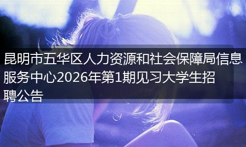 昆明市五华区人力资源和社会保障局信息服务中心2026年第1期见习大学生招聘公告