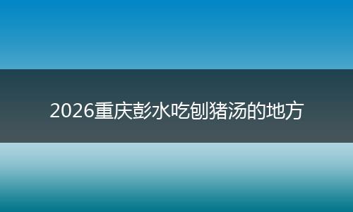 2026重庆彭水吃刨猪汤的地方