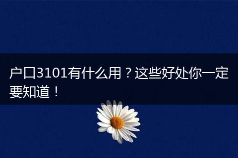 户口3101有什么用？这些好处你一定要知道！