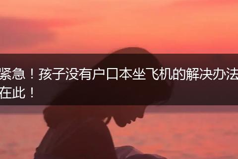 紧急！孩子没有户口本坐飞机的解决办法在此！