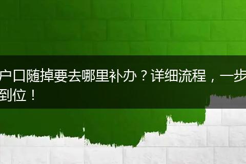 户口随掉要去哪里补办？详细流程，一步到位！