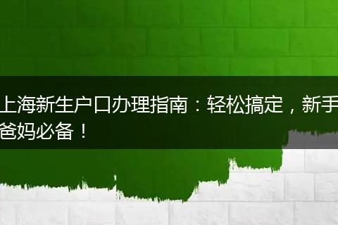 上海新生户口办理指南：轻松搞定，新手爸妈必备！