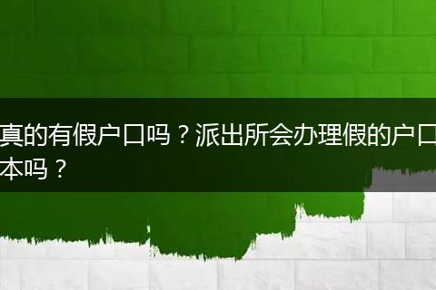 真的有假户口吗？派出所会办理假的户口本吗？