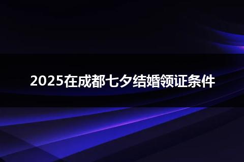 2025在成都七夕结婚领证条件