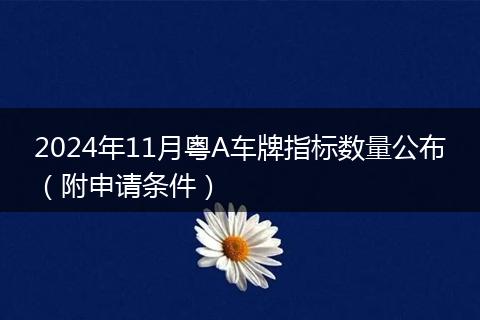 2024年11月粤A车牌指标数量公布（附申请条件）