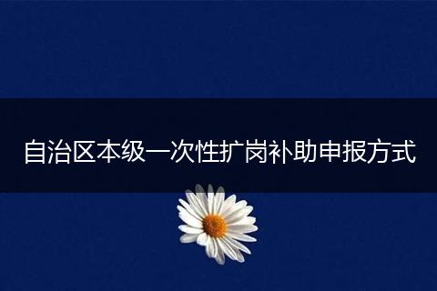 自治区本级一次性扩岗补助申报方式