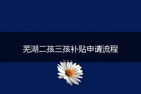 芜湖二孩三孩补贴申请流程