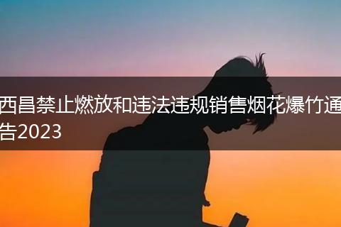 西昌禁止燃放和违法违规销售烟花爆竹通告2023