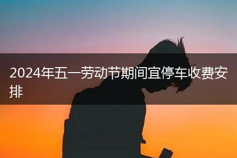 2024年五一劳动节期间宜停车收费安排