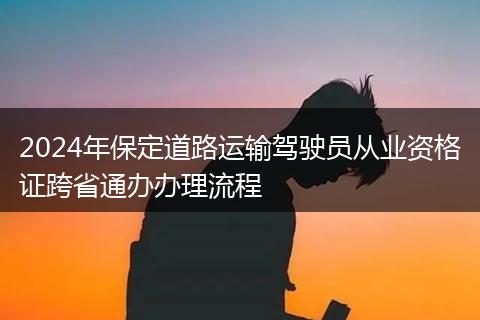 2024年保定道路运输驾驶员从业资格证跨省通办办理流程