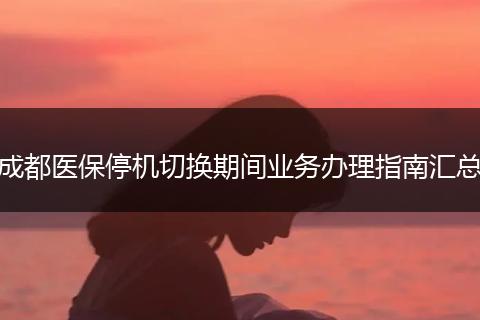 成都医保停机切换期间业务办理指南汇总