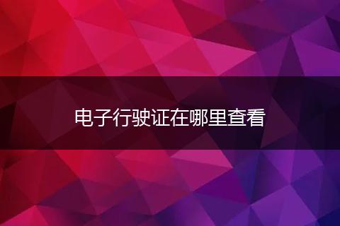 电子行驶证在哪里查看