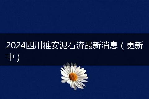 2024四川雅安泥石流最新消息(更新中)