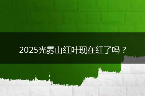 2025光雾山红叶现在红了吗?