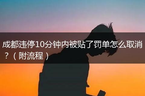 成都违停10分钟内被贴了罚单怎么取消？（附流程）
