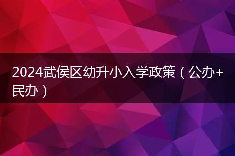 2024武侯区幼升小入学政策（公办+民办）