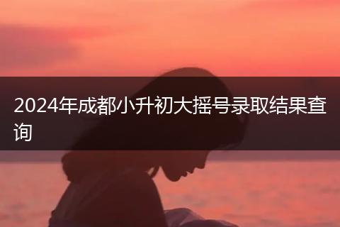 2024年成都小升初大摇号录取结果查询