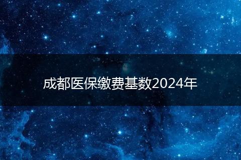 成都医保缴费基数2024年