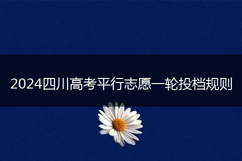 2024四川高考平行志愿一轮投档规则