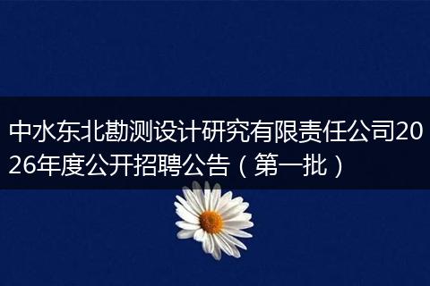 中水东北勘测设计研究有限责任公司2026年度公开招聘公告(第一批)