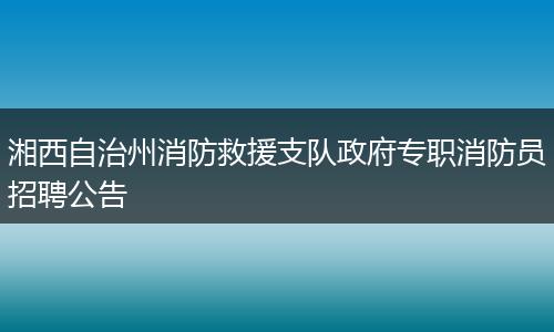 湘西自治州消防救援支队政府专职消防员招聘公告
