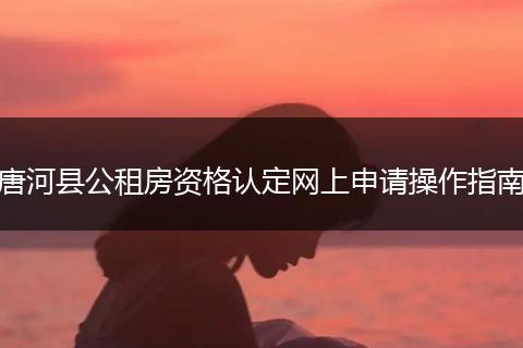 唐河县公租房资格认定网上申请操作指南