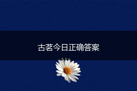 古茗今日正确答案