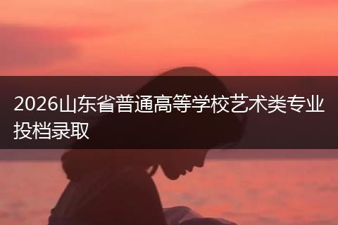2026山东省普通高等学校艺术类专业投档录取