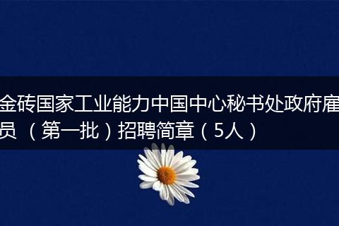 金砖国家工业能力中国中心秘书处政府雇员 (第一批)招聘简章(5人)