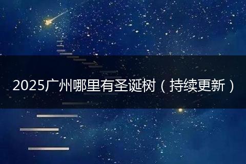 2025广州哪里有圣诞树（持续更新）
